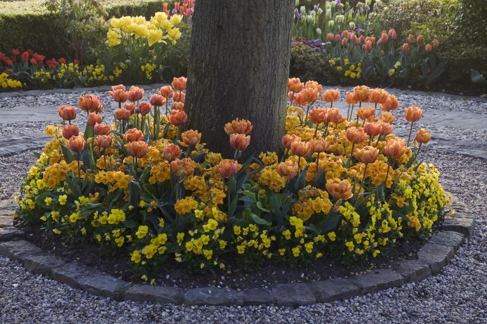 Plant flowers around a tree