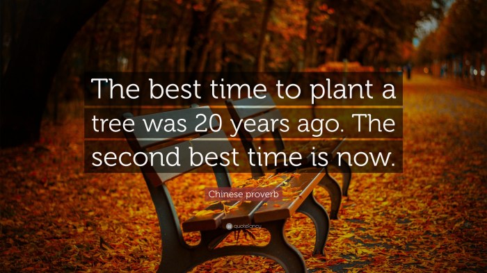 Best season to plant a tree