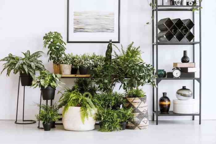 Plant stand dollar tree