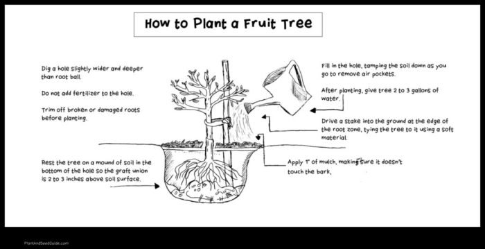 Soil shrubs yard soils deter predominantly luscious