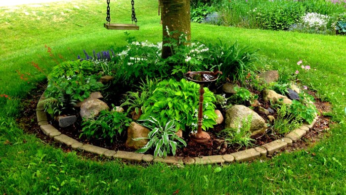 Plant flowers around a tree